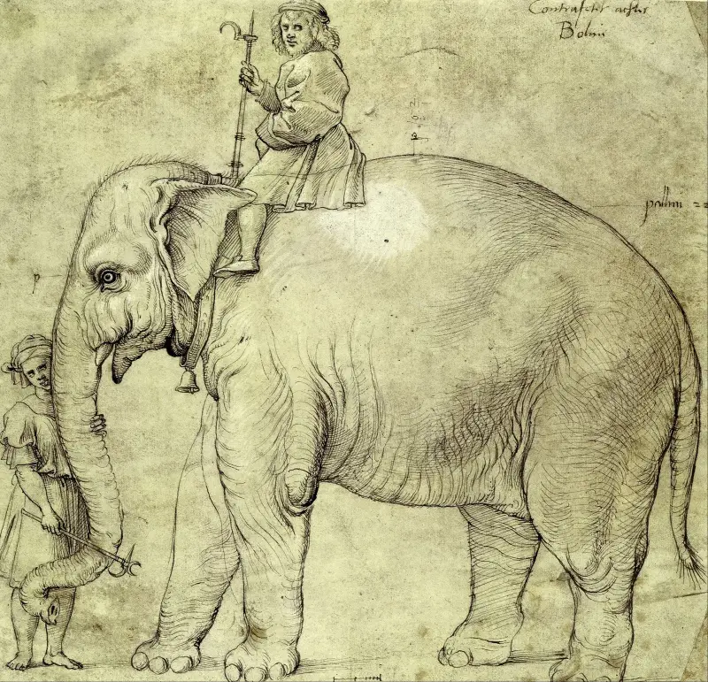 The Elephant Hanno av Raphael
