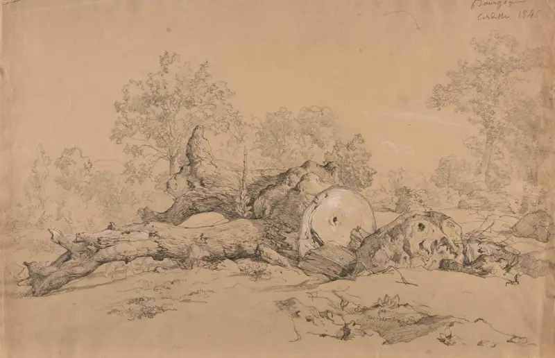 Ścięte drzewo, Jacques-Raymond Brascassat