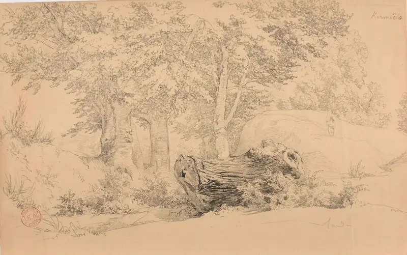 Bois à Kermoëlo av Jacques-Raymond Brascassat