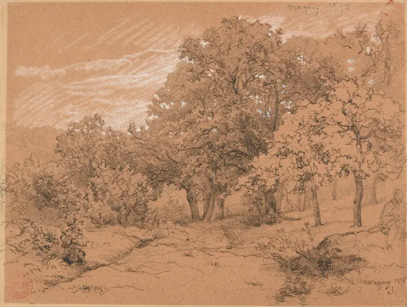 Waldstück bei Magny von Jacques-Raymond Brascassat