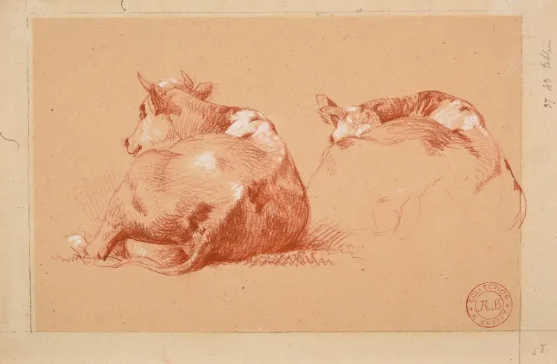 Deux études de vache couchée av Jacques-Raymond Brascassat