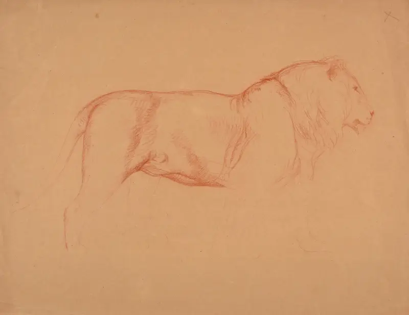 Étude de lion. av Jacques-Raymond Brascassat