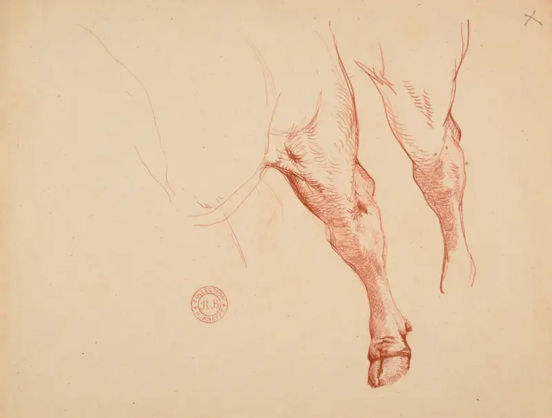 Étude de pattes de bovidé av Jacques-Raymond Brascassat