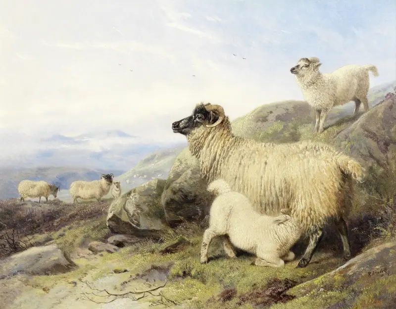 Ovce na horské stráni, Richard Ansdell