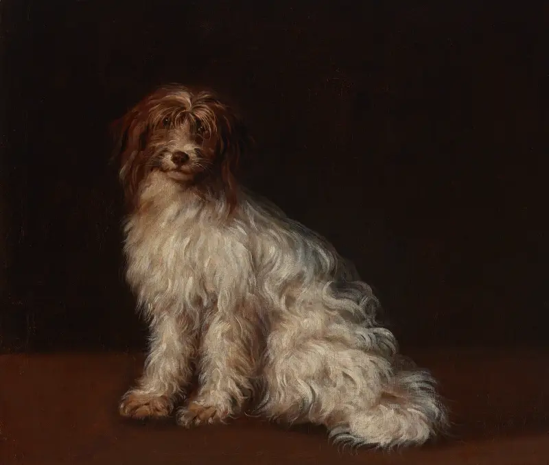 Dlouhosrstý teriér, Richard Cosway