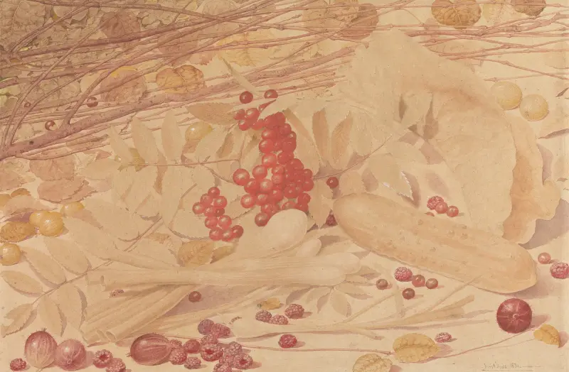Stilleben mit Stachelbeeren, Himbeeren, roten Johannisbeeren, Frühlingszwiebeln, einer Gurke und Blattwerk von Richard Dadd