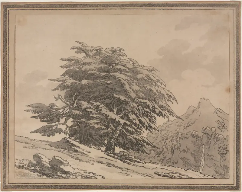 Cedar av John Robert Cozens