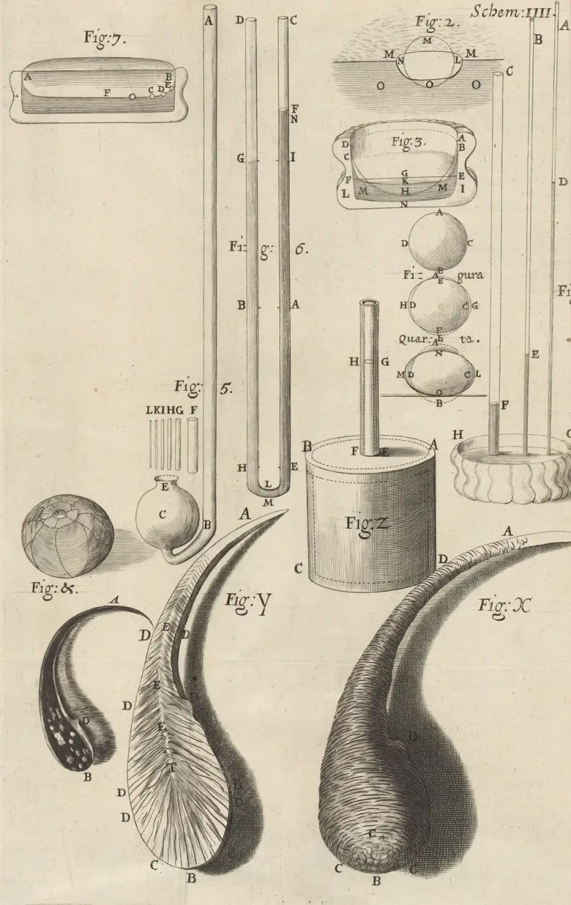Mikroskopisk vy av olika glassträngar och droppar av Robert Hooke