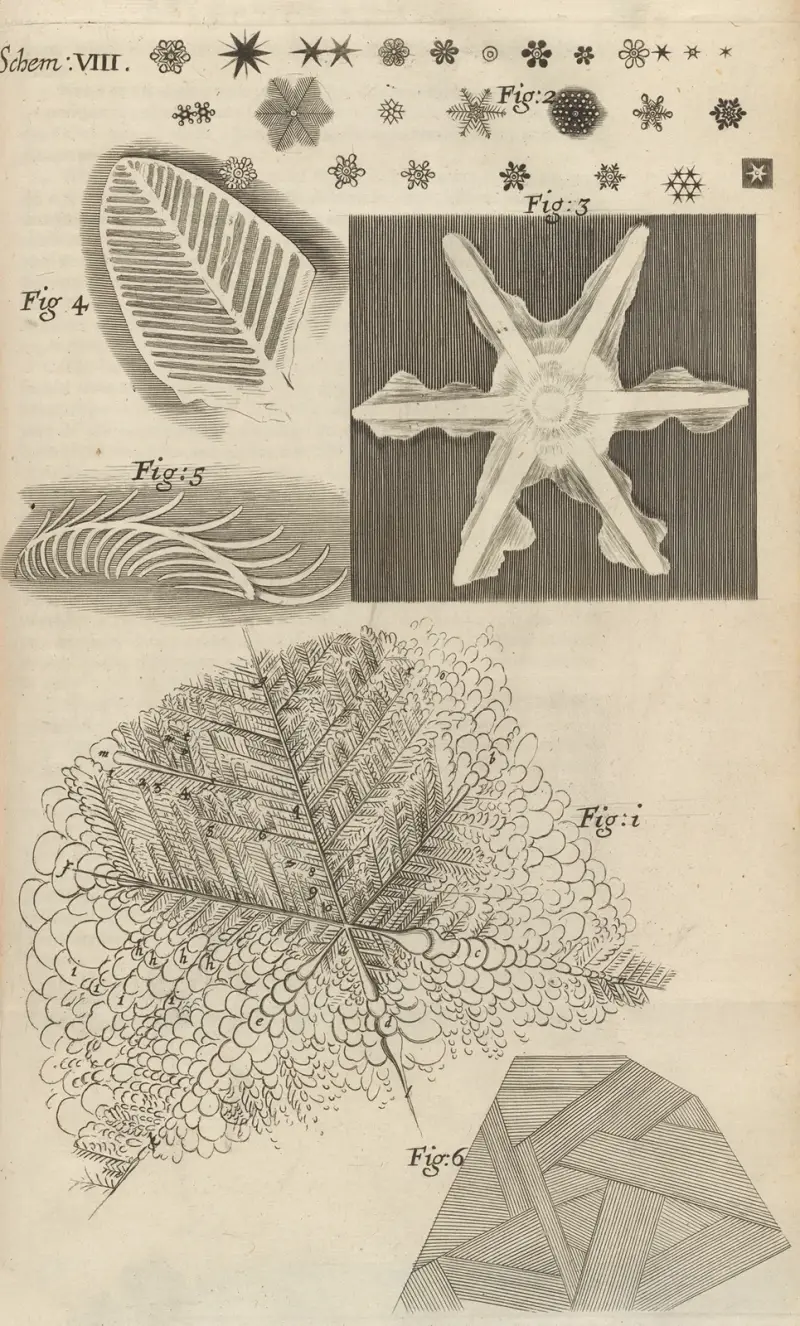 Mikroskopische Ansicht verschiedener Arten gefrorener Figuren von Robert Hooke