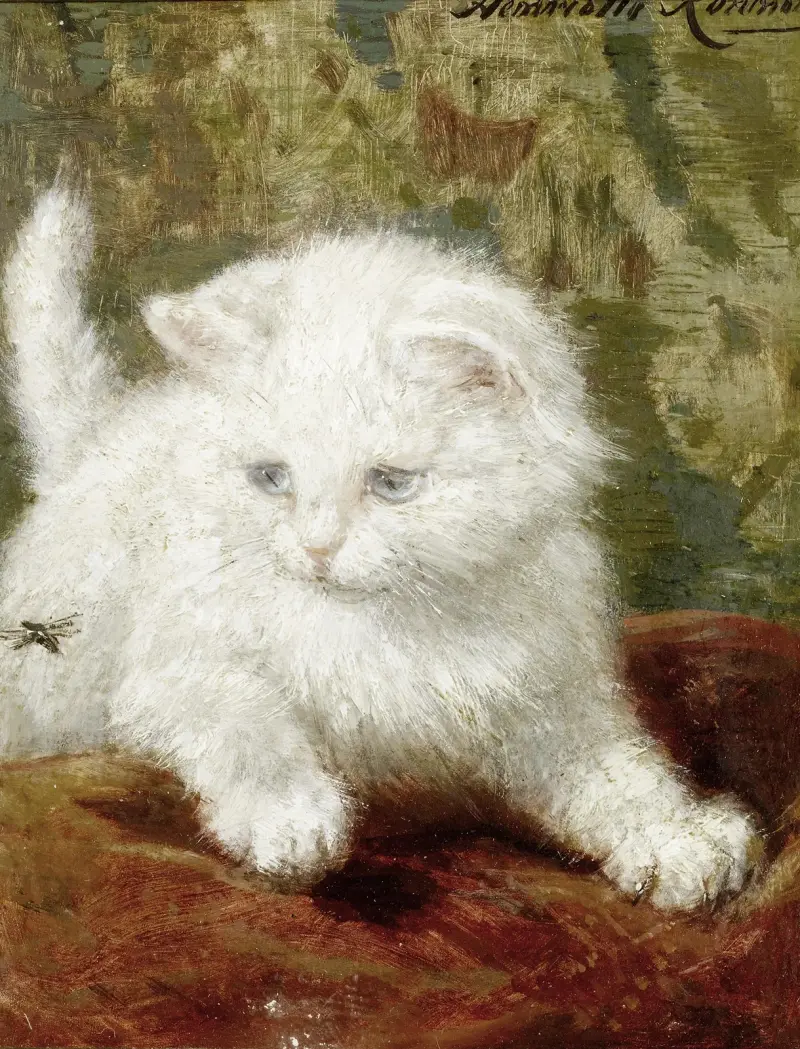 Zvědavost, Henriëtte Ronner-Knip