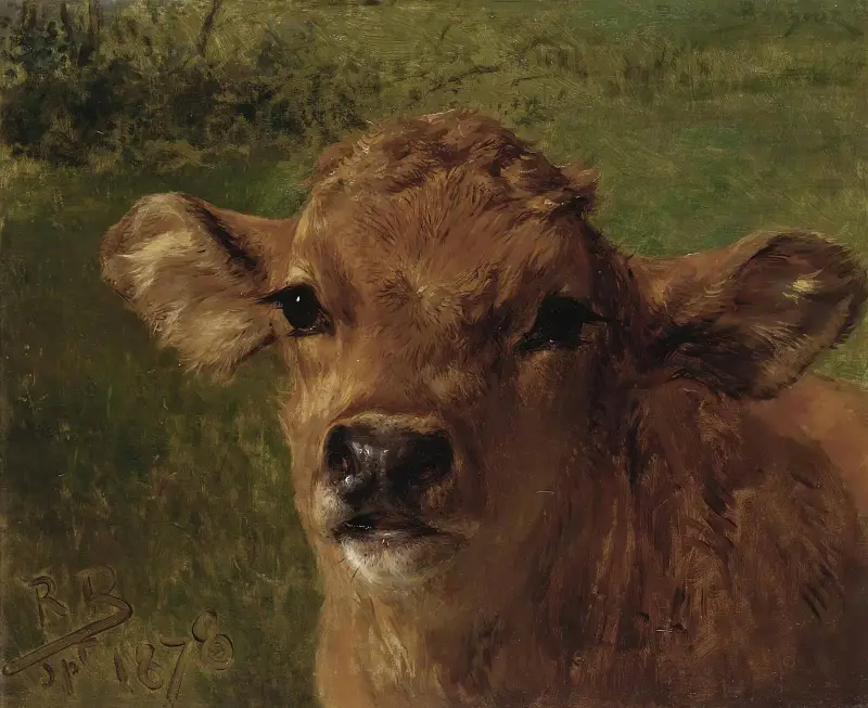 Kalvhuvud av Rosa Bonheur