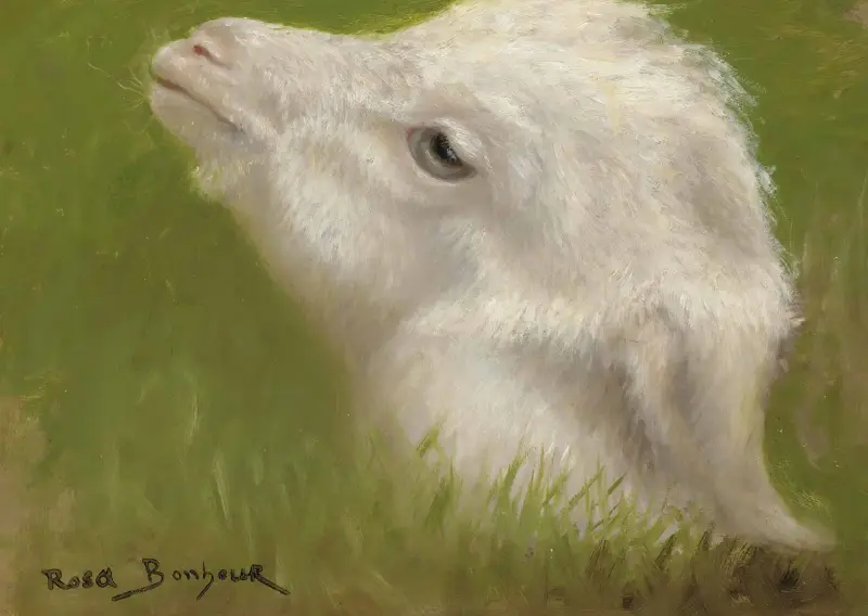 Lammhuvud av Rosa Bonheur
