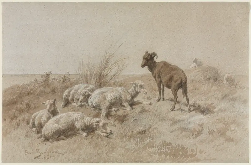 Owce, Rosa Bonheur