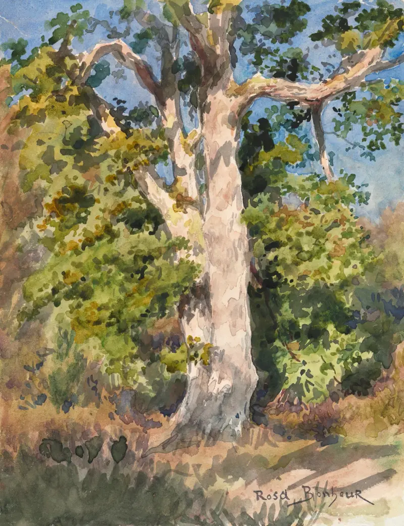 Studium drzewa, Rosa Bonheur