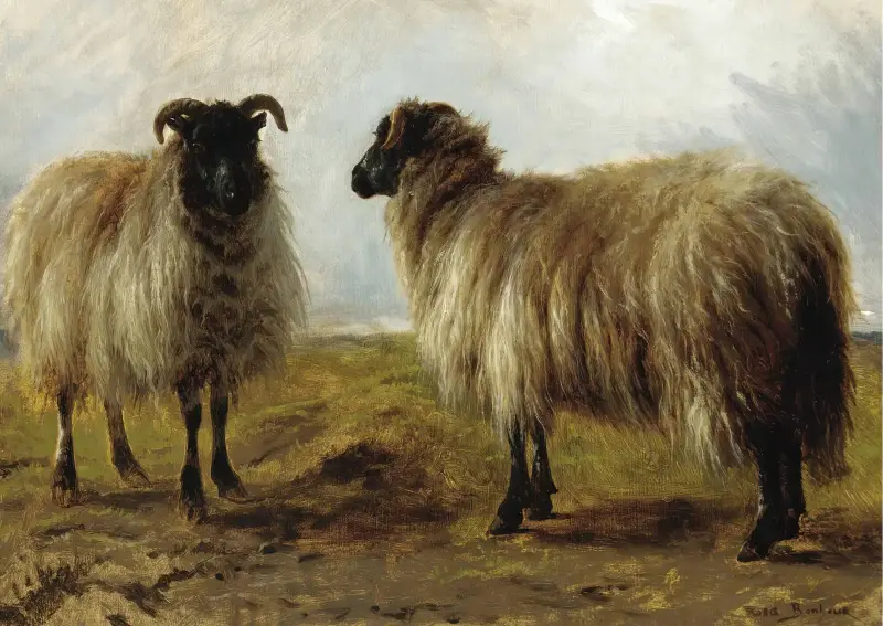 Dvě berani v krajině, Rosa Bonheur