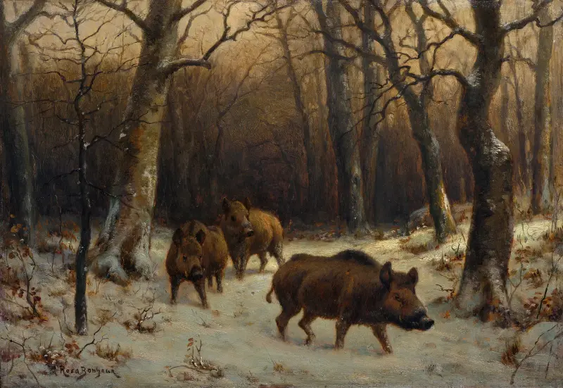 Vildsvin i snö av Rosa Bonheur