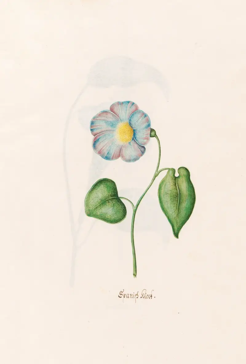 Spanish klock av Magdelena Rosina Funck