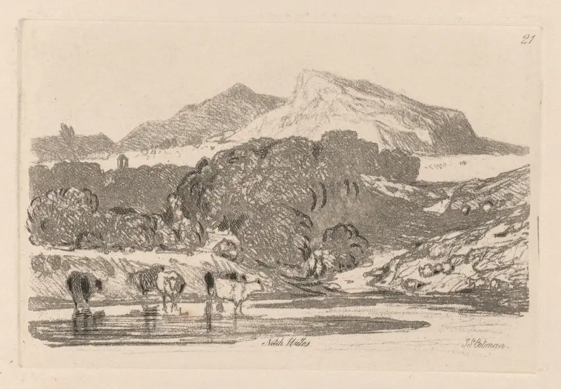 View in North Wales av John Sell Cotman