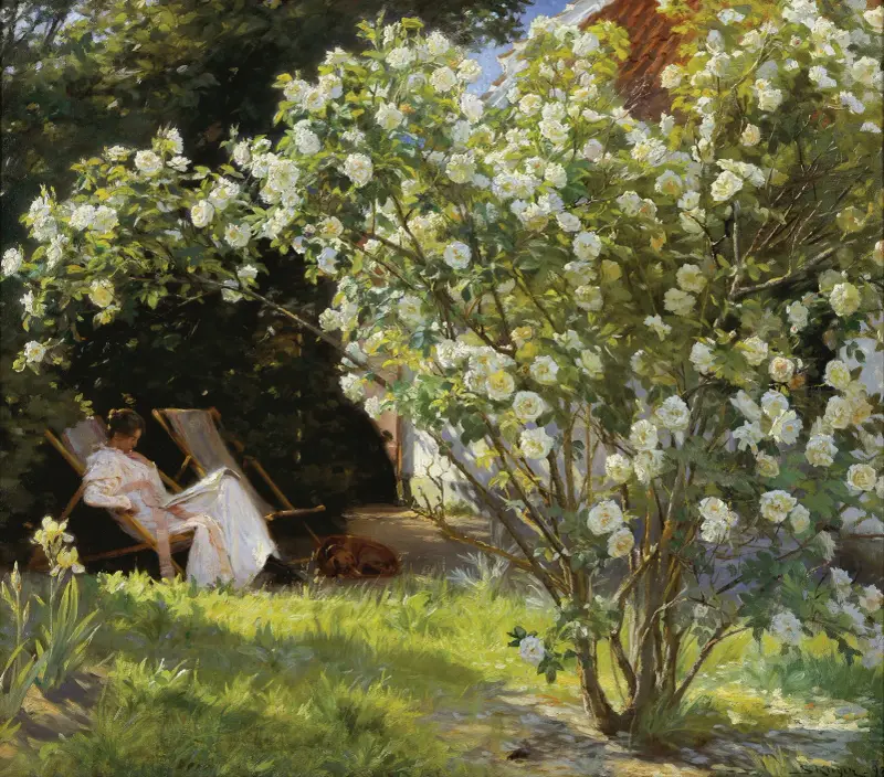 Rosor. Marie Krøyer sittande i trädgårdsstolen vid fru Bendsens hus av Peder Severin Krøyer