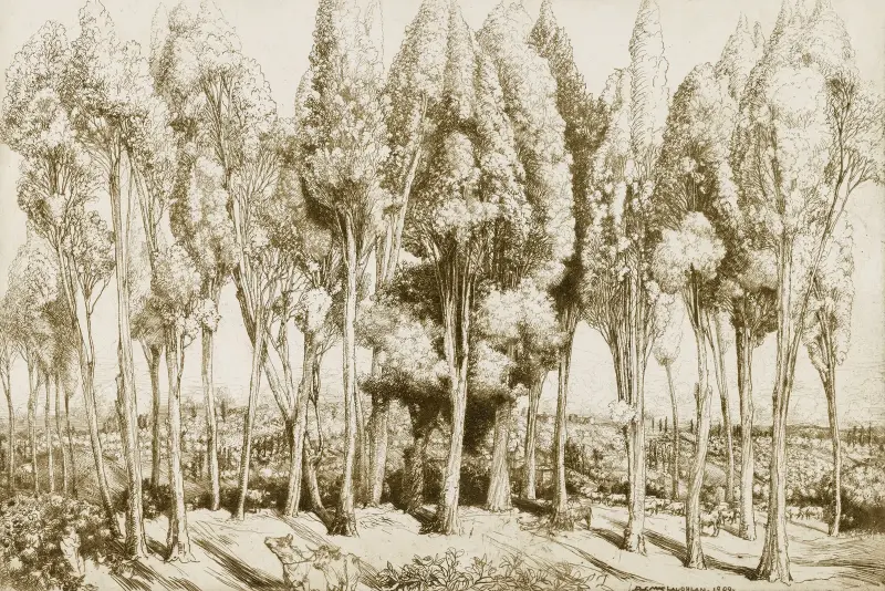Road Song no. 5 av Donald Shaw MacLaughlan