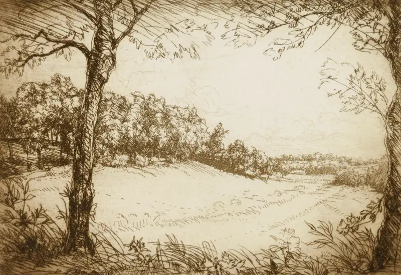 Sommarmorgon i Tennessee av Donald Shaw MacLaughlan