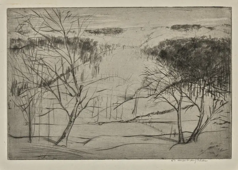 Winter av Donald Shaw MacLaughlan