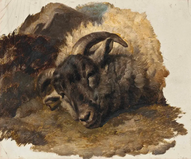 Study Of A Ram’s Head av Thomas Sidney Cooper
