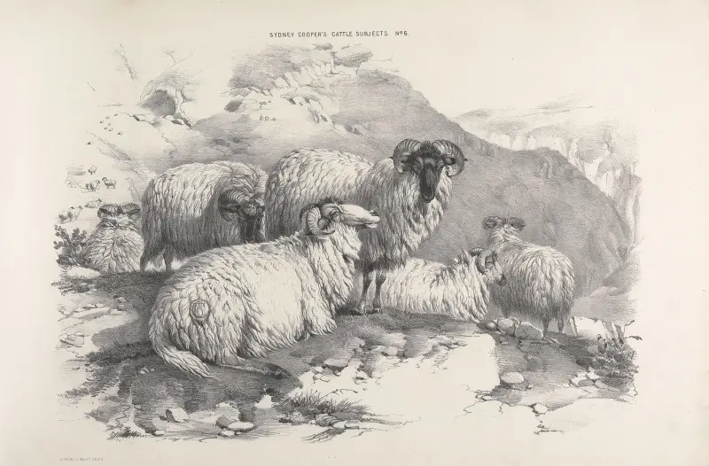 Thomas Sydney Cooper’s cattle subjects Pl.05 av Thomas Sidney Cooper