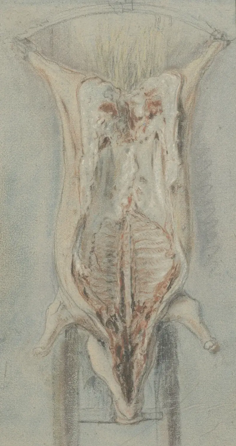 Ścięte zwierzę na skórze, Jean Siméon Chardin
