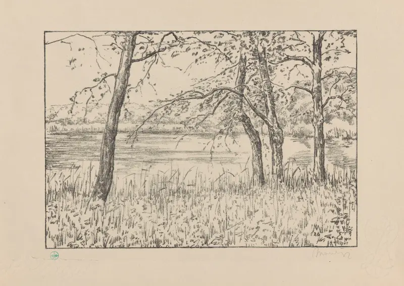 Bäume an einem See, Meer und Wald von Simon Moulijn
