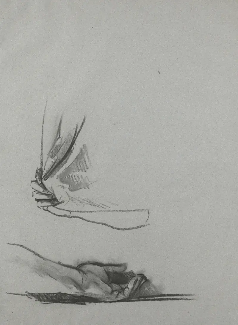 Studies of Hands av John Singer Sargent