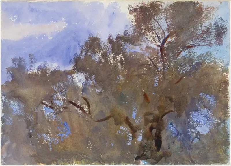 Vrcholky stromů proti obloze, John Singer Sargent