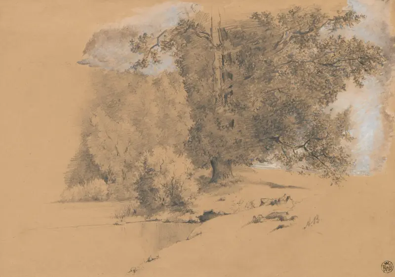 Waterside Trees av Anna Bilińska-Bohdanowicz