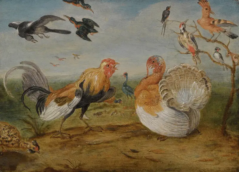 Landskap med en tupp och en kalkon i gräl samt andra fåglar av Jan Van Kessel The Elder