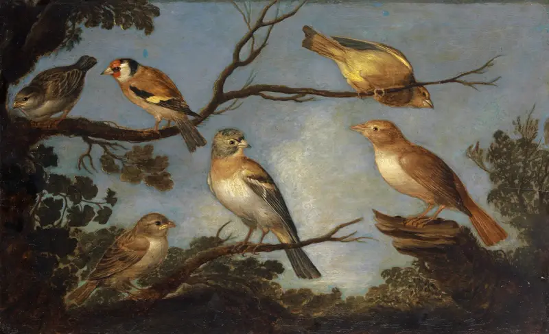 Fåglar på grenarna i ett träd av Jan Van Kessel The Elder