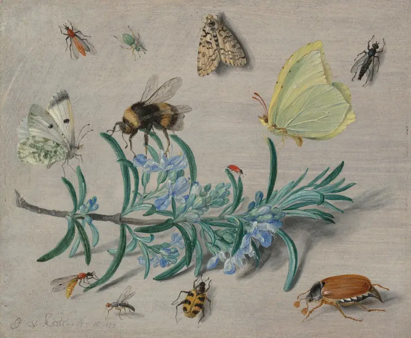 Insekter och en kvist rosmarin av Jan Van Kessel The Elder
