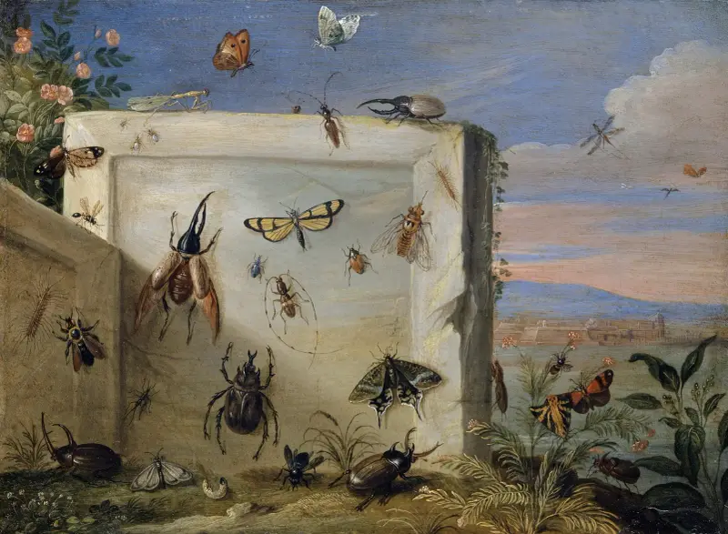 Hmyz na kamenné desce, Jan Van Kessel The Elder