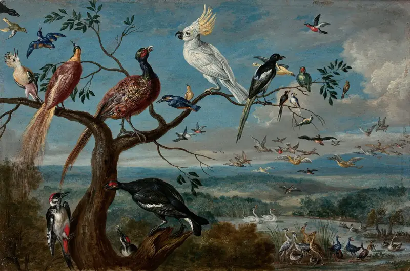 Ptačí koncert, Jan Van Kessel The Elder