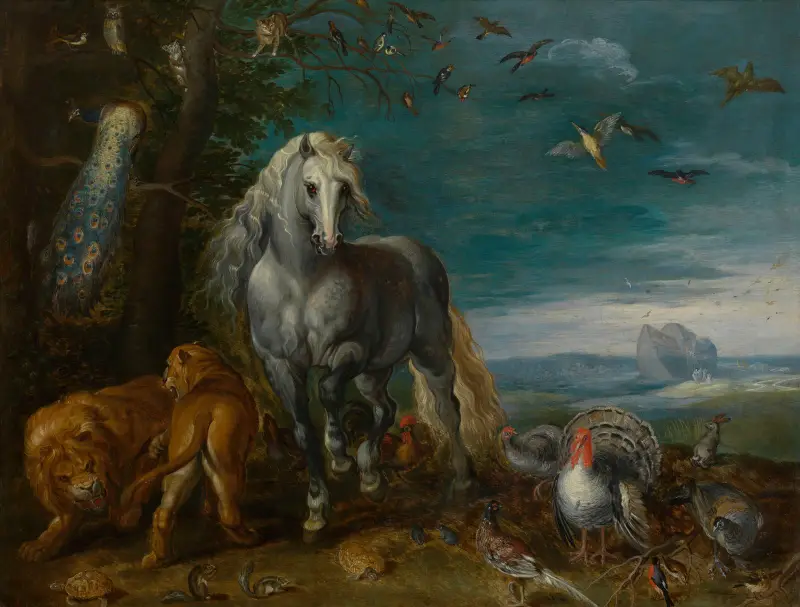 Noach’s Ark av Jan Van Kessel The Elder