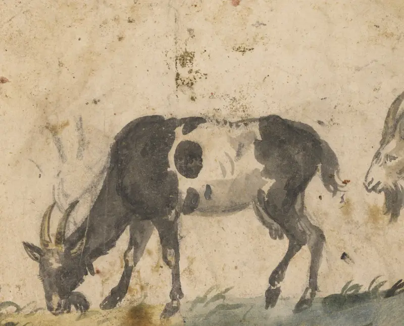 Studium kóz, Lucas Cranach the Elder