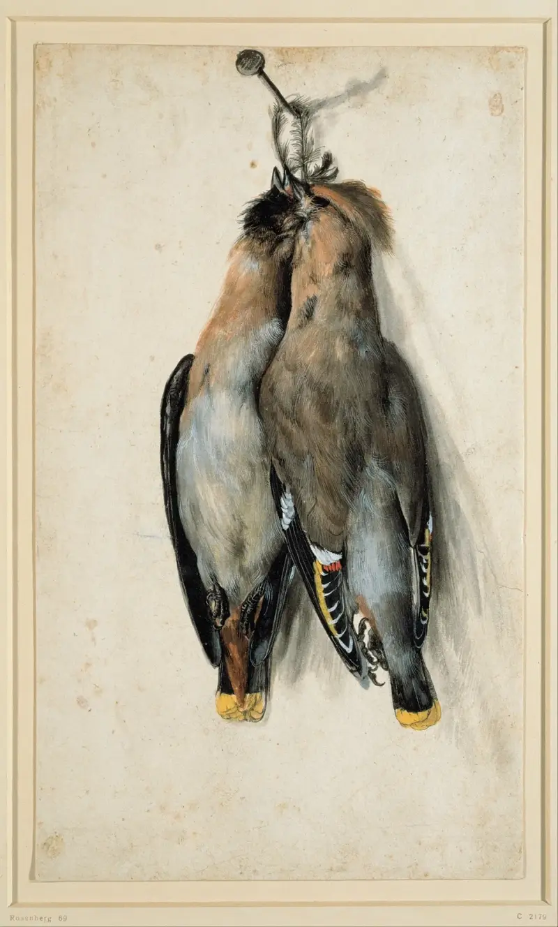 Two Dead Bohemian Waxwings av Lucas Cranach the Elder