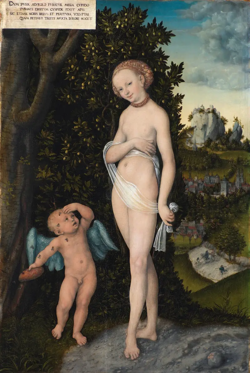 Wenus z Kupidynem kradnącym miód, Lucas Cranach the Elder
