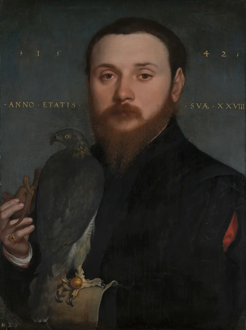 Portret szlachcica z jastrzębiem, Hans Holbein The Younger