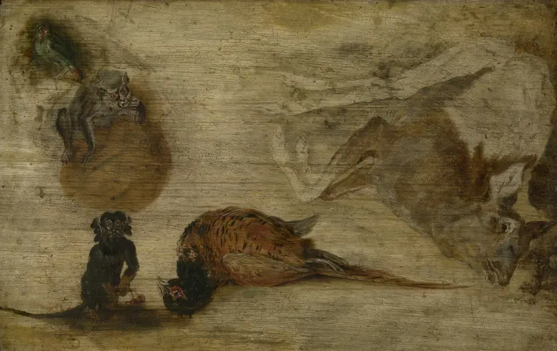 Study of monkeys, a deer and other animals av Jan Brueghel the Younger