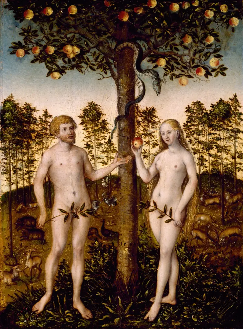 Der Sündenfall von Lucas Cranach the Younger