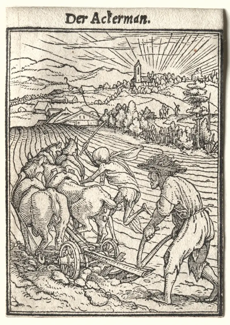 Der Pflüger von Hans Holbein The Younger