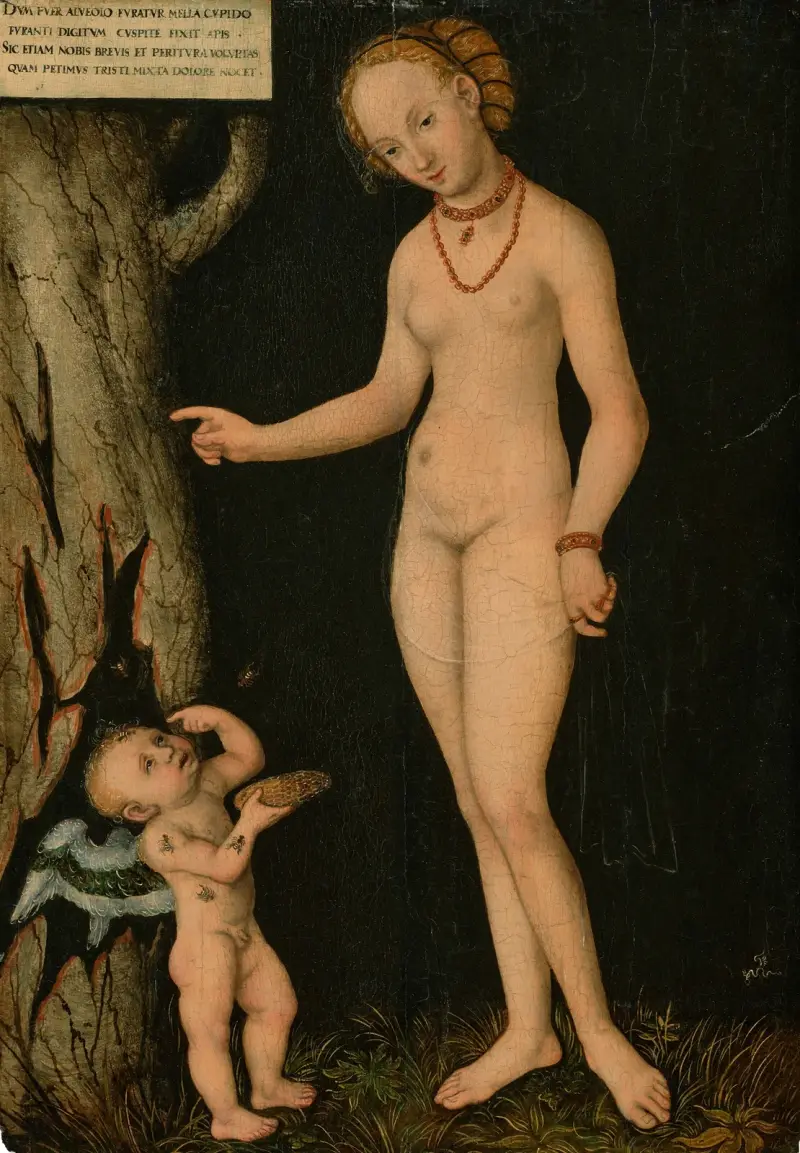 Venus och Amor som honungstjuv av Lucas Cranach the Younger