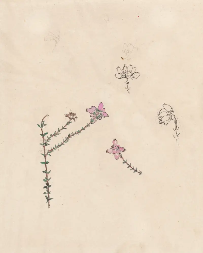 Zweig mit rosa Knospen von Theo Nieuwenhuis