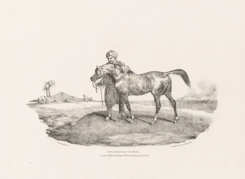 Arabische Pferd, Théodore Géricault