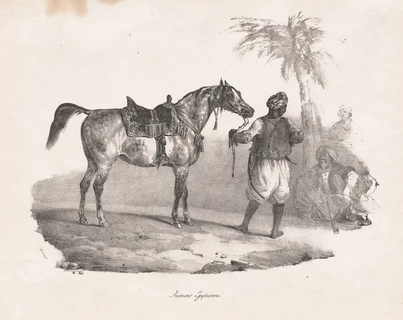 Ägyptische Stute von Théodore Géricault